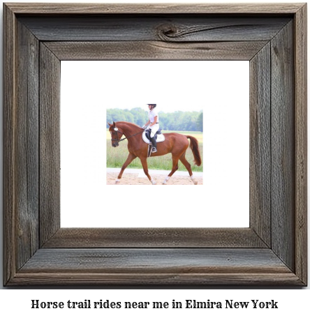 horse trail rides near me in Elmira, New York